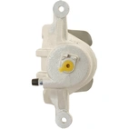 Jarrusatula sopii Hyundai