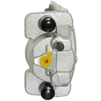 Jarrusatula sopii Toyota