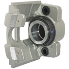 Jarrusatula sopii Toyota