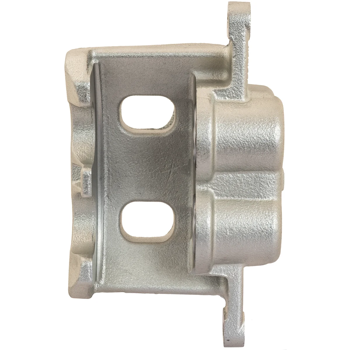 Jarrusatula sopii Ford