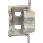 Jarrusatula sopii Ford