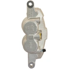 Jarrusatula sopii Ford