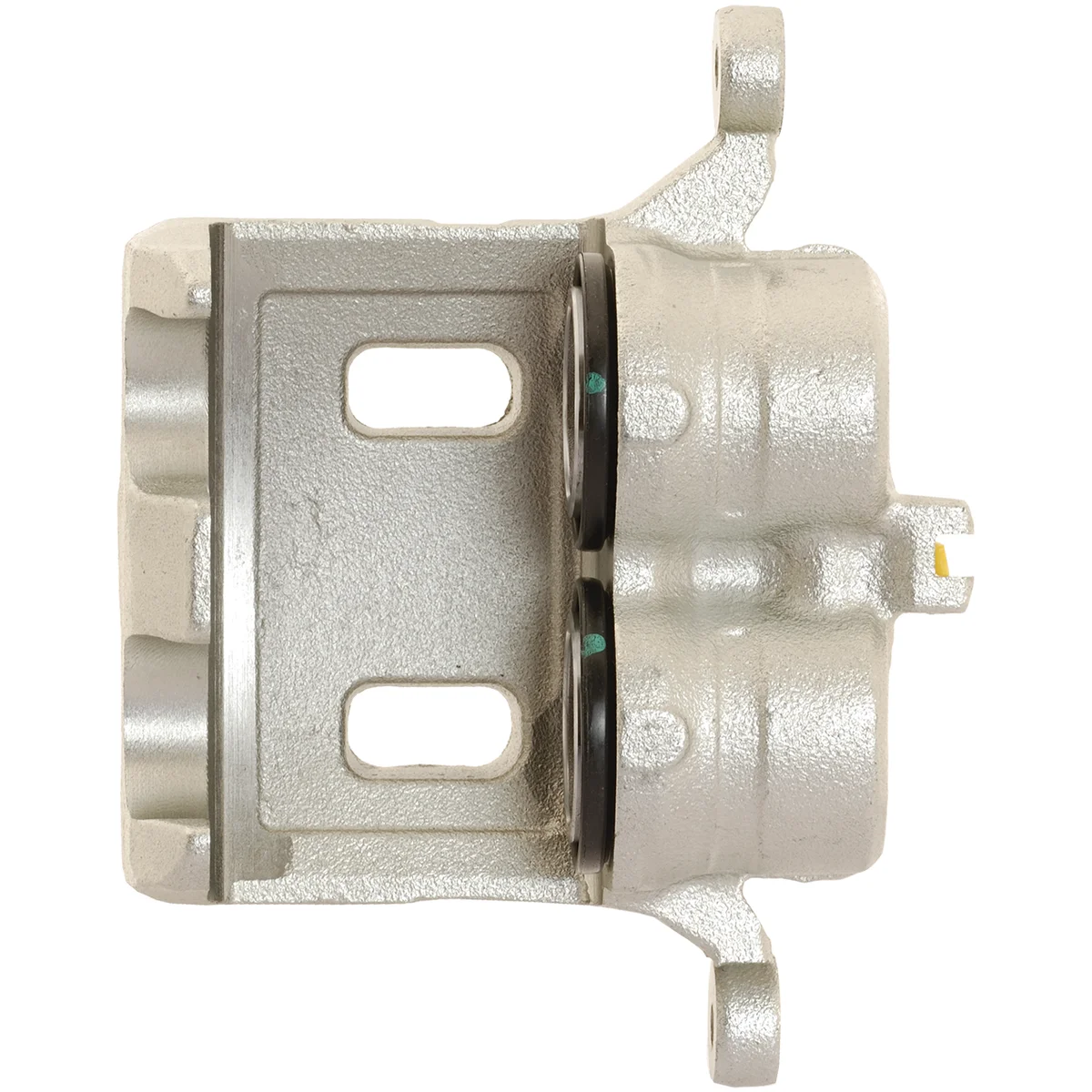 Jarrusatula sopii Nissan