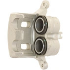 Jarrusatula sopii Nissan