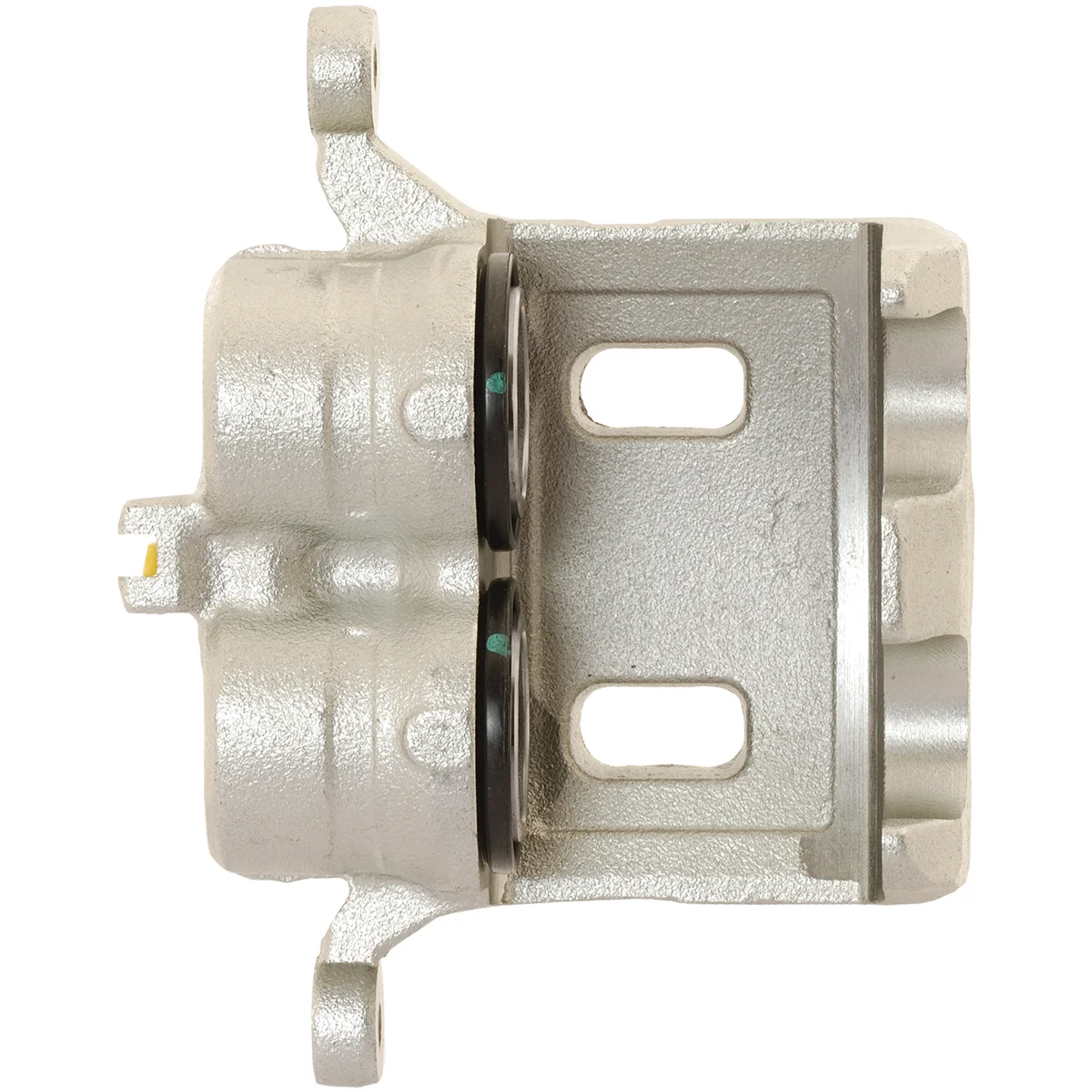 Jarrusatula sopii Nissan