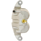 Jarrusatula sopii Nissan