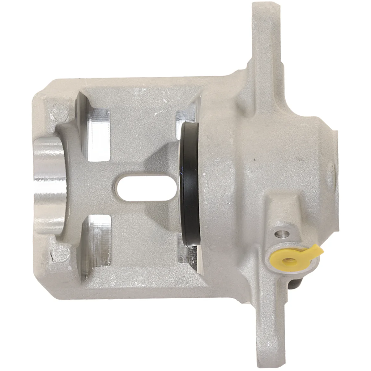 Jarrusatula sopii Subaru