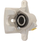 Jarrusatula sopii Subaru