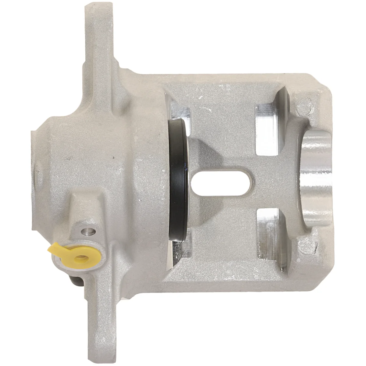 Jarrusatula sopii Subaru