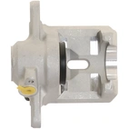 Jarrusatula sopii Subaru