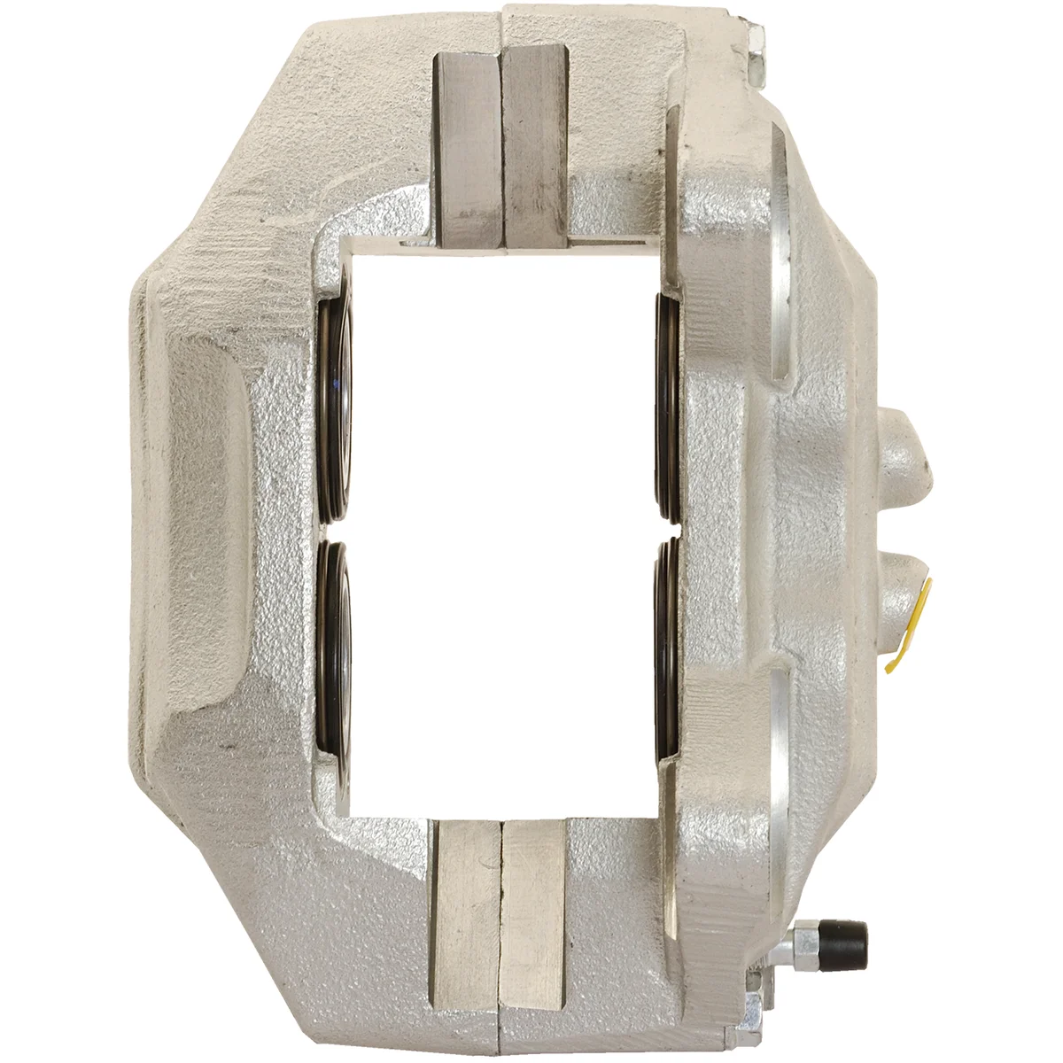 Jarrusatula sopii Toyota