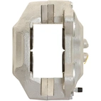 Jarrusatula sopii Toyota