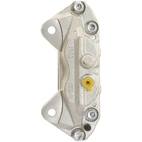 Jarrusatula sopii Toyota