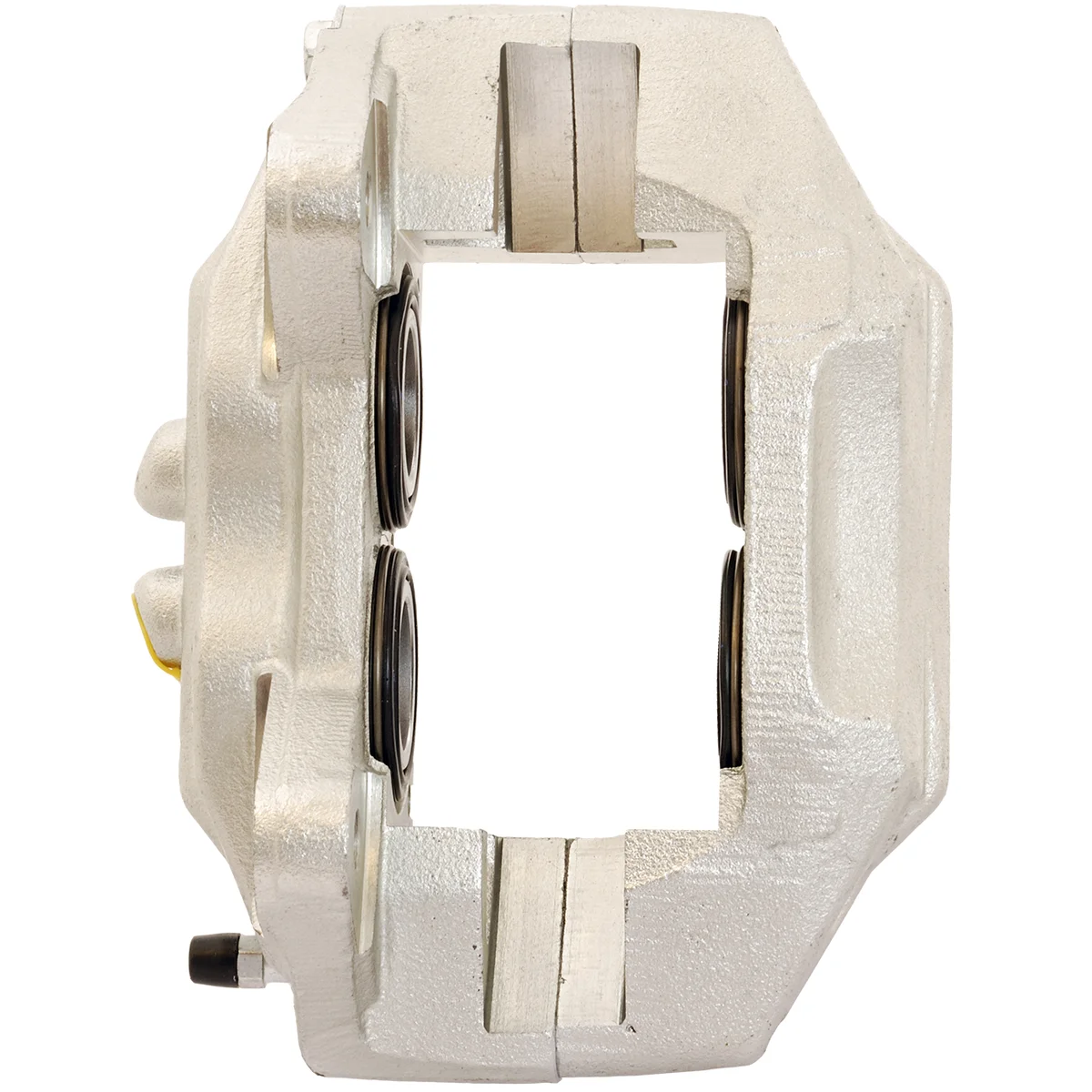 Jarrusatula sopii Toyota