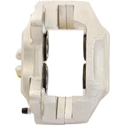 Jarrusatula sopii Toyota