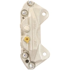 Jarrusatula sopii Toyota