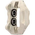 Jarrusatula sopii Toyota