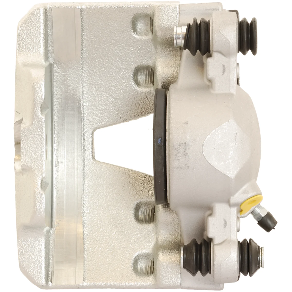 Jarrusatula sopii Audiin