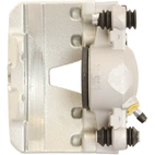 Jarrusatula sopii Audiin