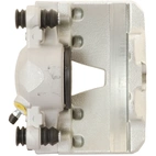 Jarrusatula sopii Audiin