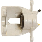 Jarrusatula sopii Mercedes