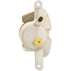 Jarrusatula sopii Mercedes