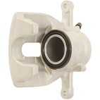 Jarrusatula sopii Mercedes