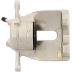 Jarrusatula sopii Mercedes