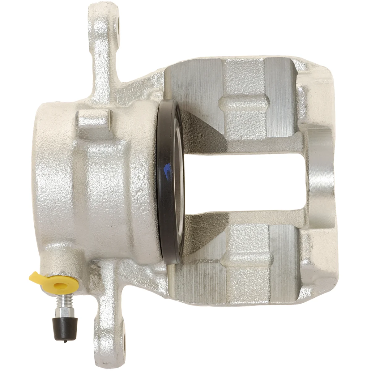 Jarrusatula sopii Mercedes