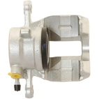 Jarrusatula sopii Mercedes