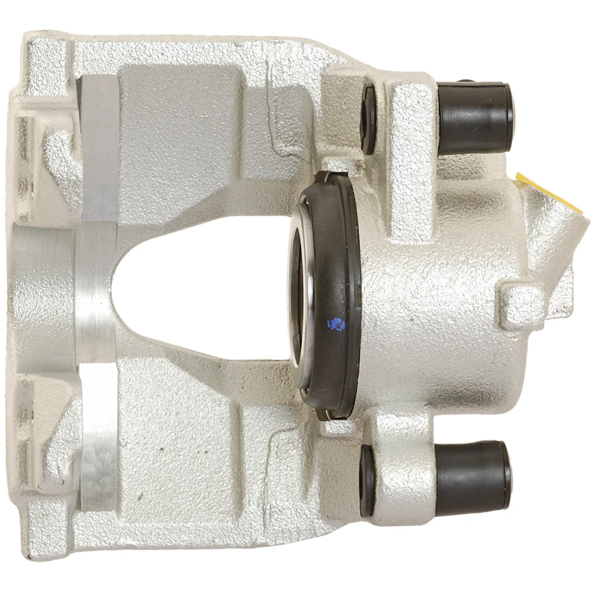 Jarrusatula sopii Renault