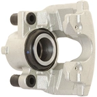 Jarrusatula sopii Renault