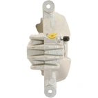 Jarrusatula sopii Peugeot