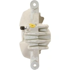 Jarrusatula sopii Peugeot