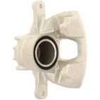 Jarrusatula sopii Peugeot