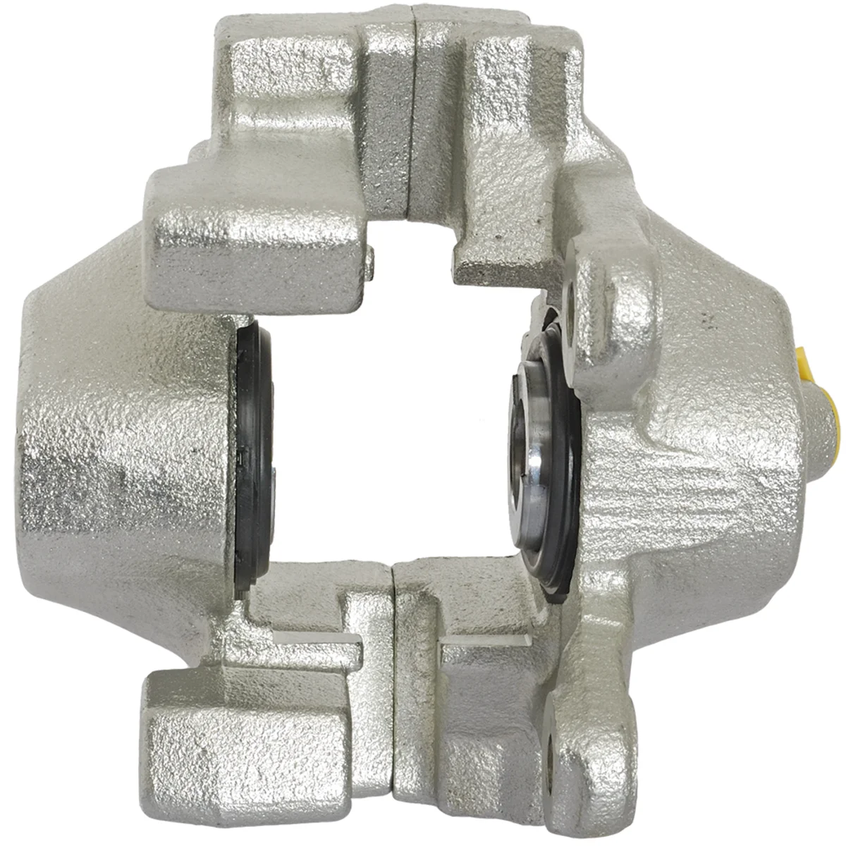 Jarrusatula sopii Mercedes