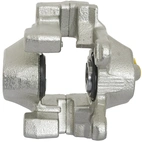 Jarrusatula sopii Mercedes