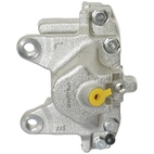 Jarrusatula sopii Mercedes