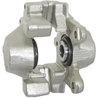 Jarrusatula sopii Mercedes