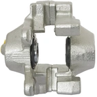 Jarrusatula sopii Mercedes