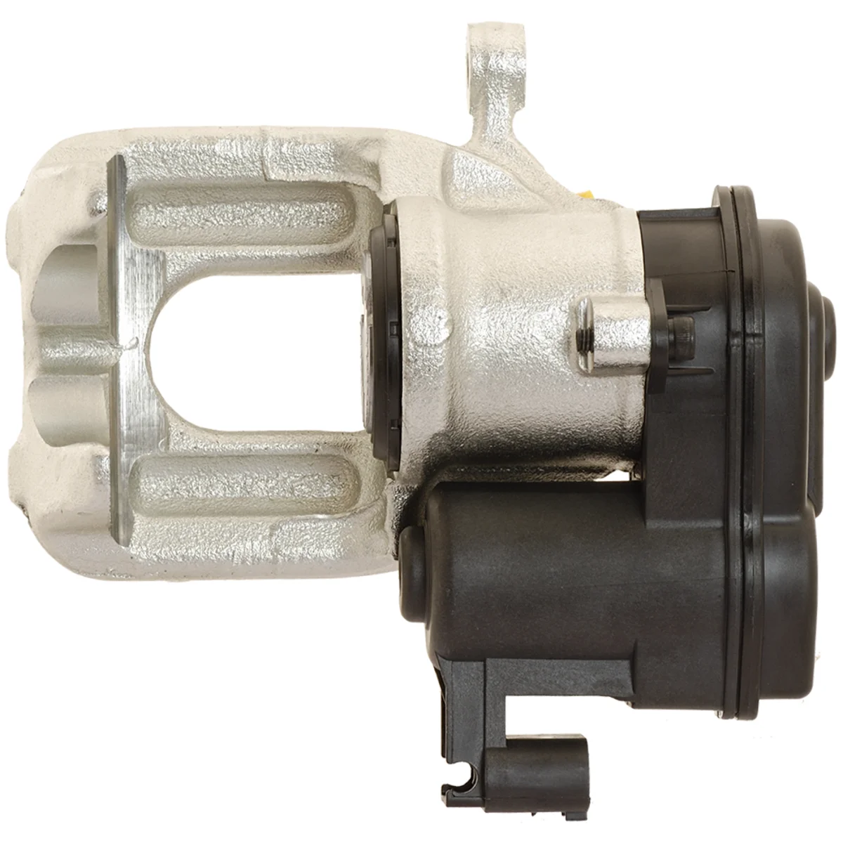 Jarrusatula sopii BMW