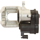 Jarrusatula sopii BMW