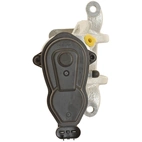 Jarrusatula sopii BMW