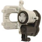 Jarrusatula sopii BMW