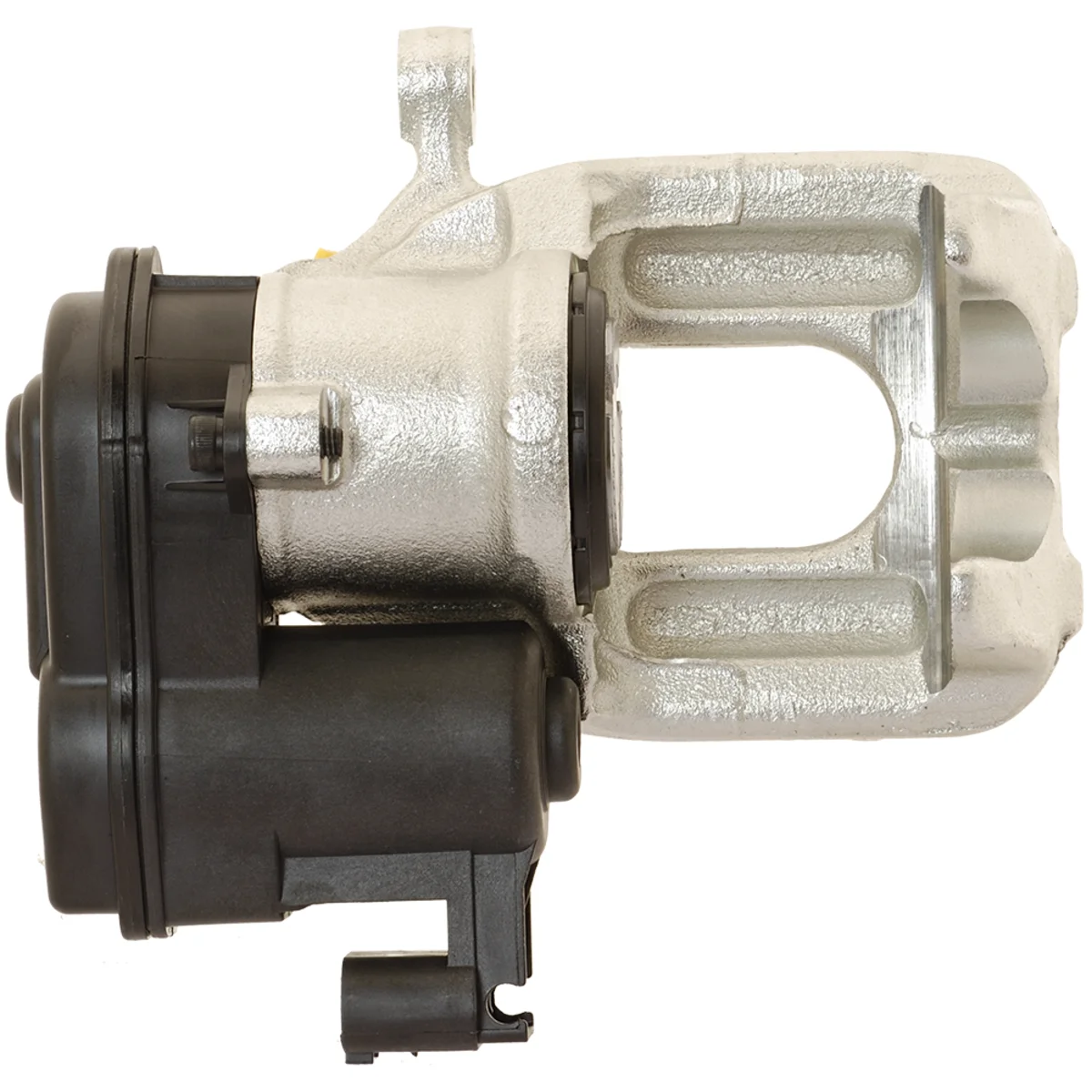 Jarrusatula sopii BMW