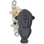 Jarrusatula sopii BMW