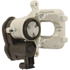 Jarrusatula sopii BMW