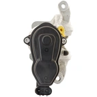 Jarrusatula sopii BMW