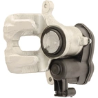 Jarrusatula sopii BMW