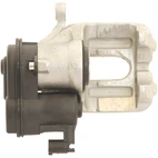 Jarrusatula sopii BMW